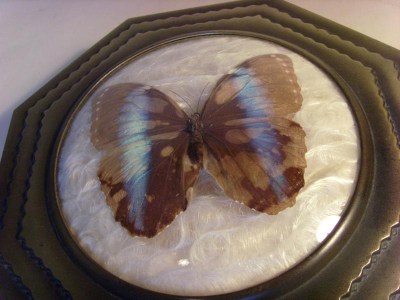 Art deco metalen doos Dralles met vlinder