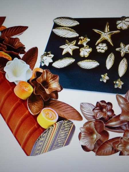 magy-fleur-magifleur-bronze-flowers-leaves-decorations-cake-chocolate-sugar-Chef-Yves-Thuries