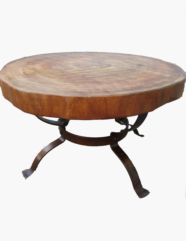 Vintage design boomstam tafel, salontafel, trunk table